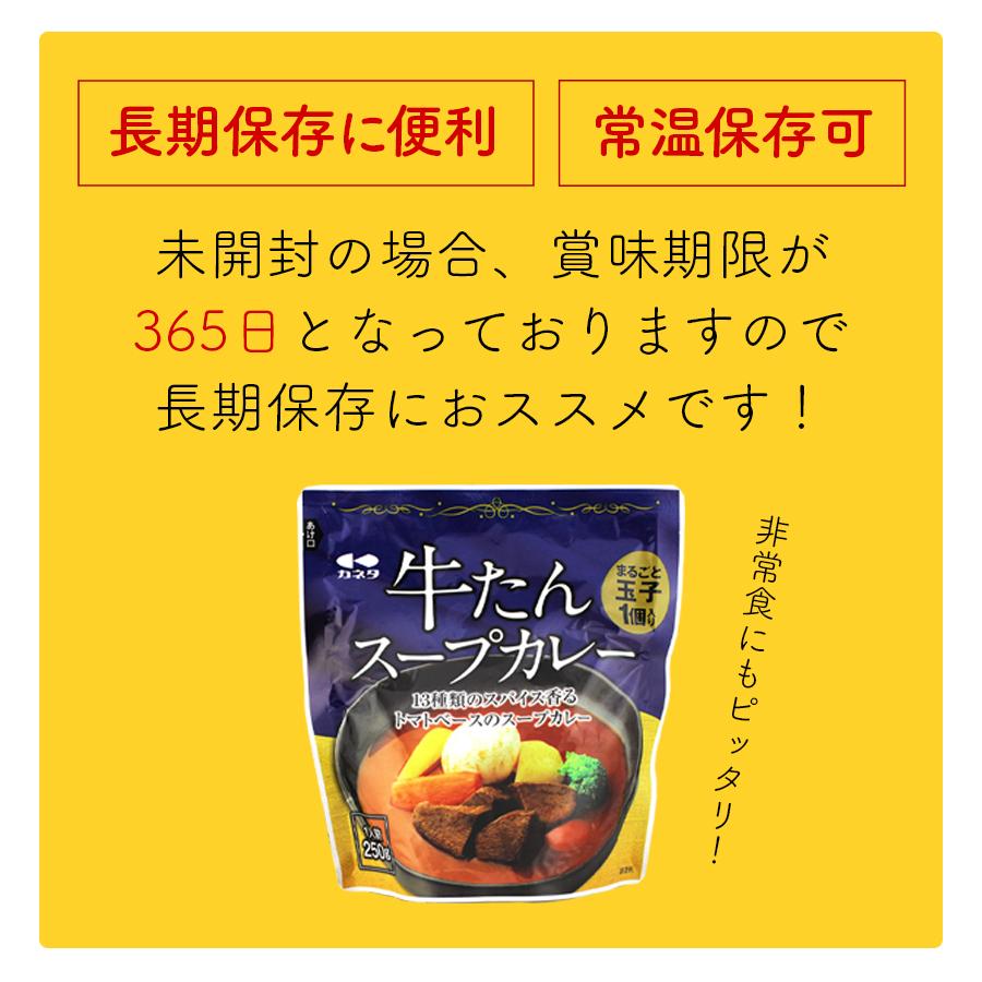 牛タン スープカレー 250g×12袋 12人前 レトルト 食品 湯煎 非常食 送料無料●牛たんスープカレー250g×12袋●k-07