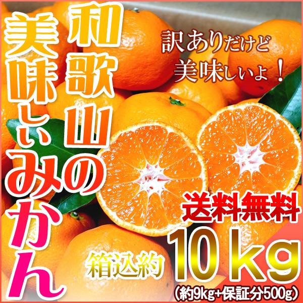 みかん 10kg（箱込約10kg） 和歌山県産 訳あり・ご家庭用 送料無料（東北・北海道・沖縄県除く）