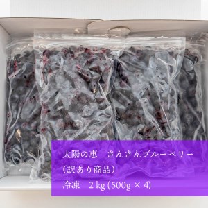 訳あり ブルーベリー 2kg 冷凍 健康 食品 不揃い 500g × 4袋 高知県 須崎市