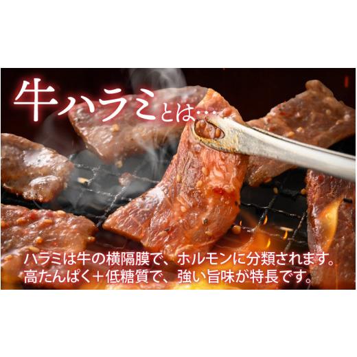 ふるさと納税 福井県 福井市 牛肉ハラミ 1.0kg 小分け タレ漬け 味付き BBQ [A-015005] 