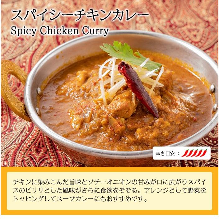 カレー レトルト スパイス香る本格派 インドカレー３食セット簡易包装 送料無料