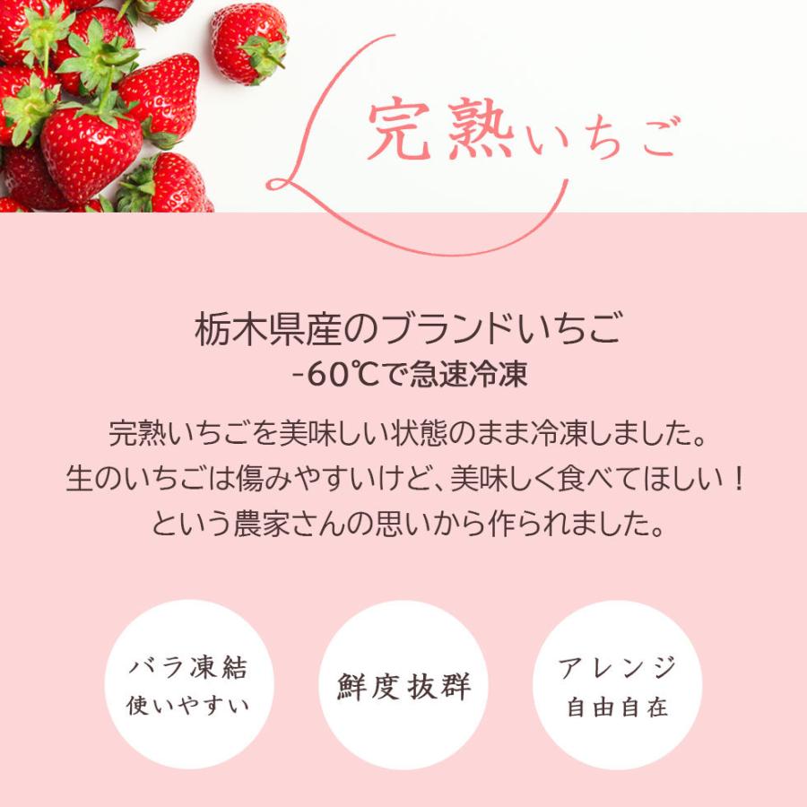 冷凍苺 完熟 栃木県産 約1kg 添加物不使用 いちご 冷凍いちご とちおとめ フルーツ かき氷 ケーキ