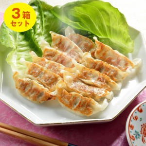 送料無料 滋賀 近江牛餃子 3箱セット   お取り寄せ グルメ 食品 ギフト プレゼント おすすめ