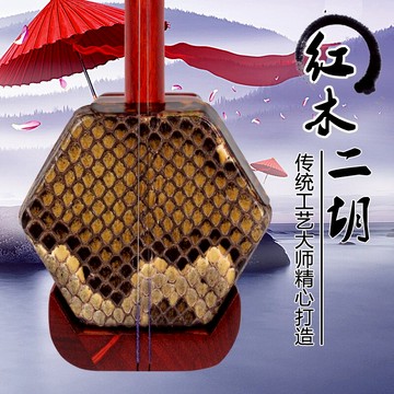 紅木二胡樂器初學者練習演奏考級通用二胡民族樂器胡琴送琴盒