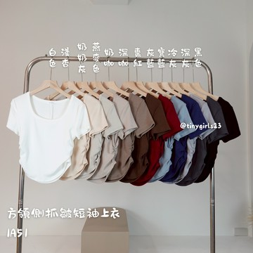 【太妮絲IA51】現貨 方領側抓皺 短袖上衣 羊絨棉 質感超好 短版上衣 螞蟻腰 方領 夏季短袖 女裝 INS 韓國