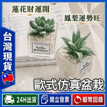 ✨療癒小物✨ 仿真植物 免澆水【24出貨◆發票】仿真盆 懶人盆栽 仿真多肉 假植栽 假植物 假盆栽 仿真多肉植物