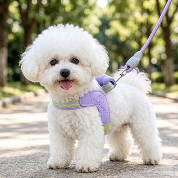 【48時熱賣】夏季狗胸揹帶中小型犬牽引繩可手提背心式透氣防掙脫遛狗鏈子項圈