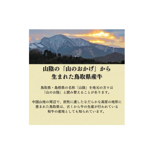 ふるさと納税 鳥取県 倉吉市 鳥取県産牛ヒレ焼肉用切り落とし　約300ｇ 国産 牛肉 ヒレ 切り落とし 焼肉