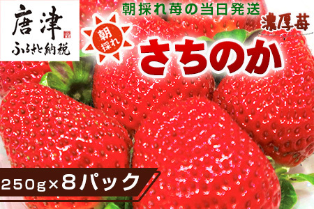 『予約受付』濃厚苺 さちのか 250g×8パック(合計2kg) 濃厚いちご 苺 イチゴ 果物 フルーツ ビタミン