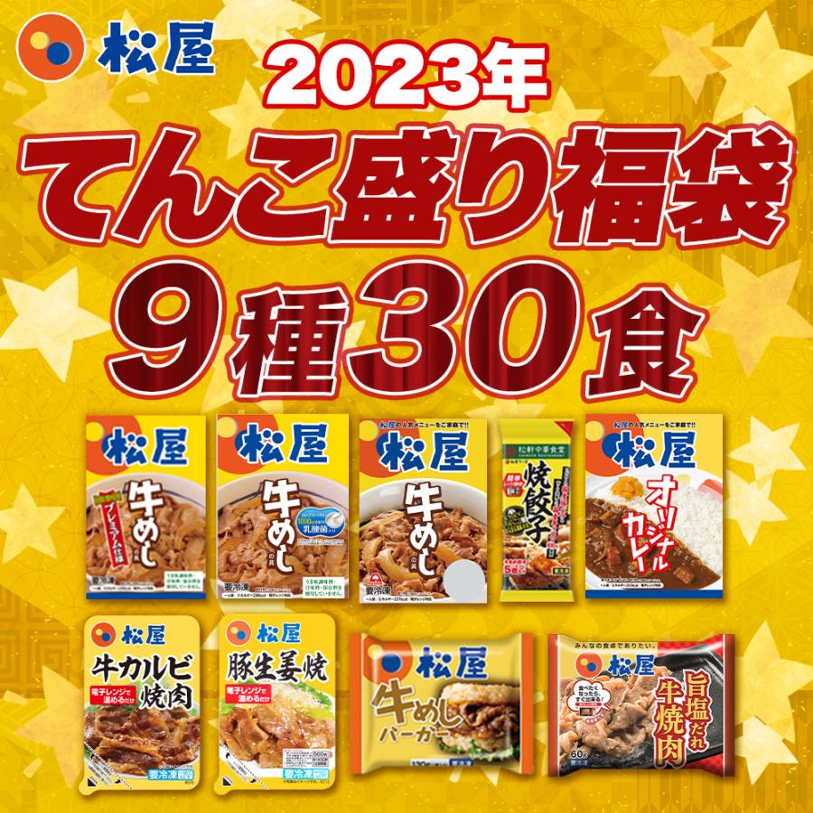 2023年 松屋のてんこもり福袋！9種30食入り 冷凍食品 保存食 一人暮らし 牛丼 まつや