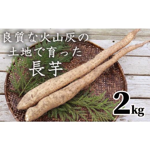 ふるさと納税 岡山県 西粟倉村 山芋(長芋) 2kg 西粟倉特産 c-FI-A02A