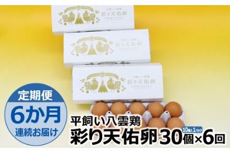 平飼い八雲鶏卵　彩り天佑卵 10個×3パック 定期便卵30個 月 卵合計180個 卵6回定期便 おいしい卵の定期便