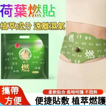 【台灣出貨+隔日達】荷葉燃貼 肚臍貼 排濕貼 艾絨貼 濕氣貼 艾葉貼 艾草貼 噗噗貼 草本貼 去濕氣貼 草本植萃 睡眠貼