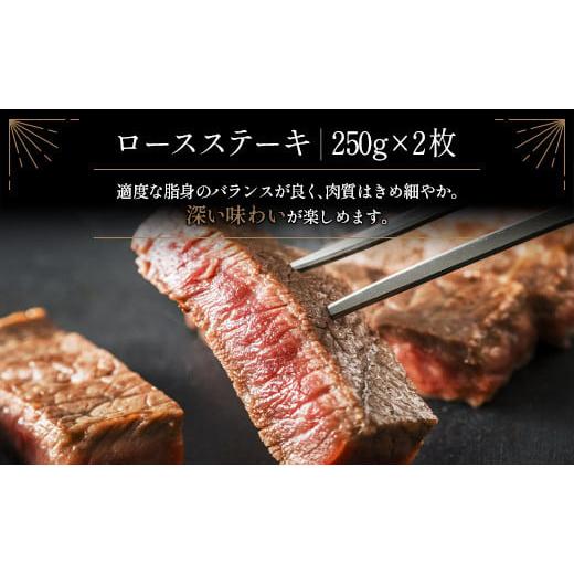 ふるさと納税 宮崎県 新富町 ≪肉質等級A4ランク≫宮崎牛 ロースステーキ 合計500g（250g×2枚） ※90日程度でお届け