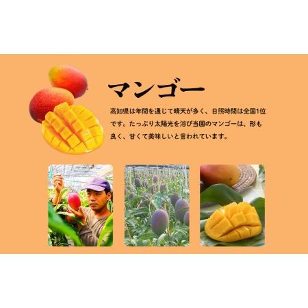 ふるさと納税 高知県南国市産／完熟アップルマンゴー（2023年6月〜発送） 高知県南国市