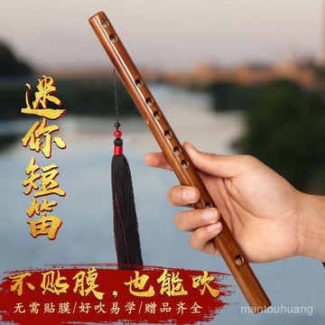 🔥臺灣有貨⚡無膜孔橫笛迷你短笛學生入門竹笛初學者兒童成人樂器女隨身小笛子 迷你短笛 無膜孔橫笛 學校樂器 學生入門竹笛