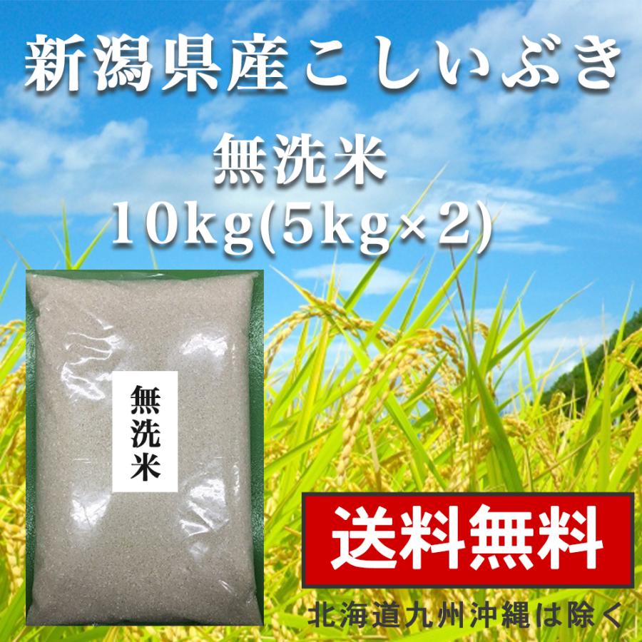 無洗米 10kg(5kg×2) 送料無料 新潟県産 お米 こしいぶき