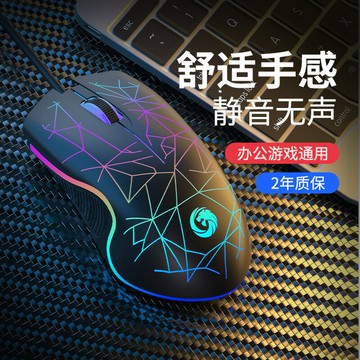 電競鼠標有線靜音無聲機械游戲專用人體工學臺式辦公適用惠普聯想【Snowbelle優選】