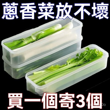 💒臺灣熱銷🐲香菜小蔥收納盒 冰箱芫荽整根收納盒 保鮮神器 食品級麵條鷄蛋備菜盒 蔬菜保鮮盒 MDOA