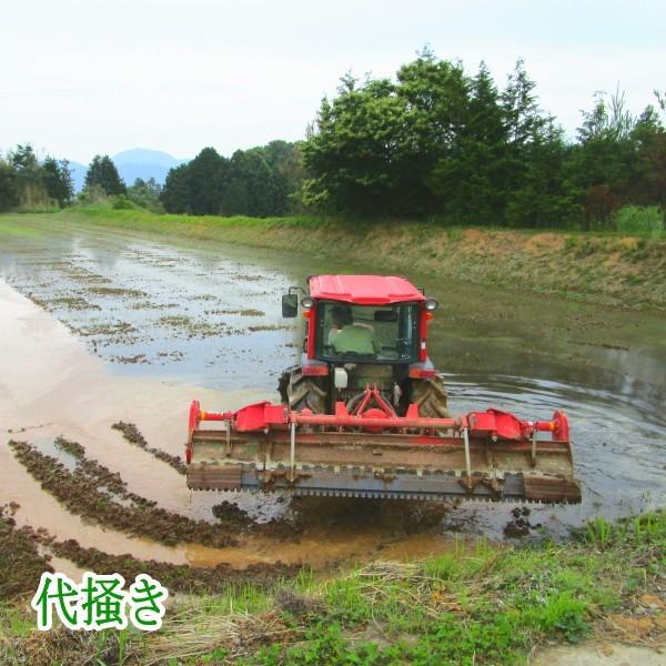 大分県産　「農薬　化学肥料不使用　玄米20ｋｇ（10ｋｇ×2本）」　送料無料（本州　四国　九州）　直送品