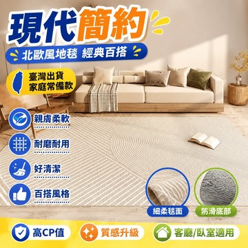 🌈臺灣出貨👍訂製尺寸✨客廳地毯🛒臥室地毯 現代地毯 簡約 北歐風 地毯 高級 灰色 臥室 床邊 沙髮地毯 茶幾地毯 地墊