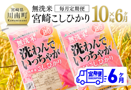 （令和5年産）宮崎県産無洗米「こしひかり」10kg 