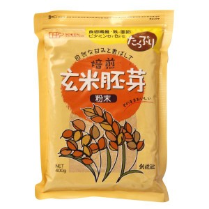 玄米胚芽 粉末 単品