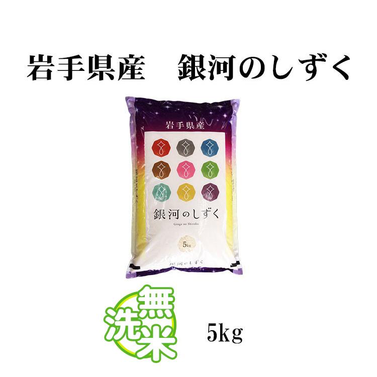 新米 お米 5kg 送料別 無洗米 銀河のしずく 岩手県産 令和5年産 1等米 お米 5キロ 食品