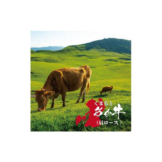 ふるさと納税 熊本県 美里町 くまもとあか牛 焼肉用 肩ロース 500g 大山