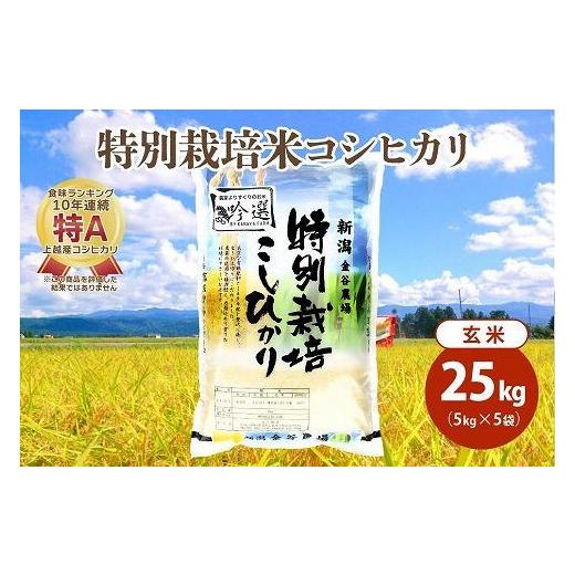 ふるさと納税 新潟県 上越市 令和5年産|新潟上越三和産|特別栽培米コシヒカリ(従来種)25kg(5kg×5)玄米