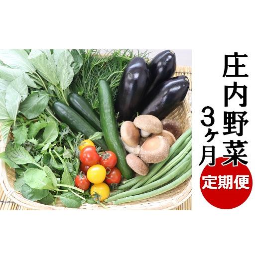 ふるさと納税 山形県 三川町 食の都庄内　庄内野菜の定期便