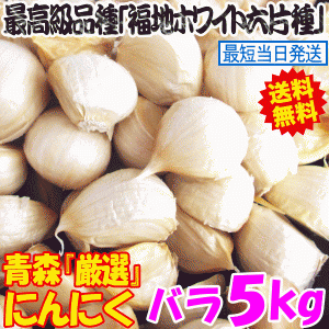 新物出荷中！青森 にんにく 5kg (500g×10個) バラ 国産 ニンニク 5kg ネット詰め 中国産と比べて！