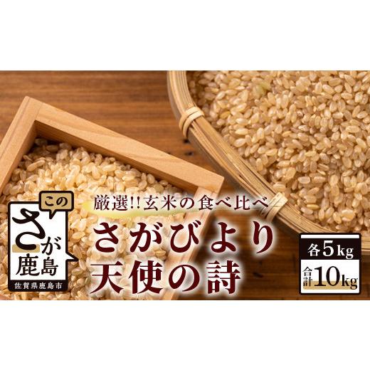 ふるさと納税 佐賀県 鹿島市 C-15 佐賀県産さがびより・天使の詩　玄米１０ｋｇ（５ｋｇ×２種）