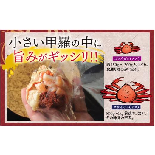 ふるさと納税 福井県 鯖江市 越前がに「せいこがに」身出し甲羅盛り 150g × 5杯  [D-11001]