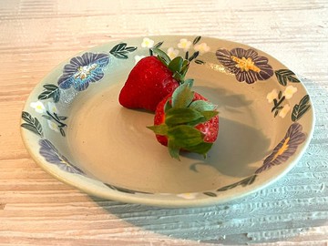 淡雅綠小花邊圓盤_陶器餐盤