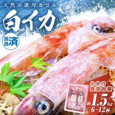 BBQにぴったり!白イカ(ケンサキイカ)　調理済み　正味1.5kg入り(6～12匹)※小分け真空包装