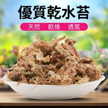 苔鑽🍀智利水苔-1公升裝/水草/蘭花介質/苔球/多肉植物/角蛙/蘭科植物/觀葉植物/爬蟲/鹿角蕨上板/園藝資材
