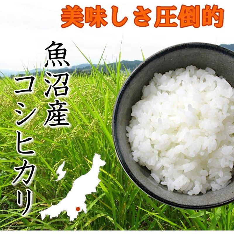 精米新米 令和4年産 新潟県産 魚沼産 特別栽培米 一等米 白米 コシヒカリ 5kg 極上 特a 五ツ星お米マイスター 厳選