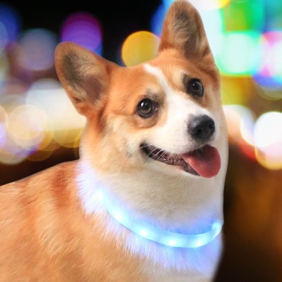 首輪 犬 光る首輪 犬用 レインボー Led Usb 防犯 夜 散歩 ライト おしゃれ 猫 小型犬 大型犬 通販 Lineポイント最大get Lineショッピング