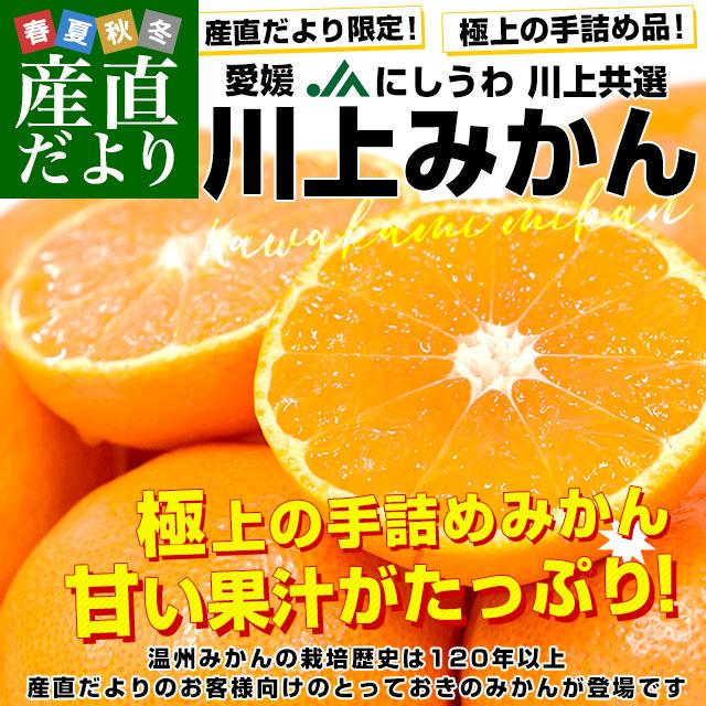 合計約6キロ(3キロ×2箱)（厳選の21玉×2箱）送料無料　JAにしうわ「川上みかん」2Lサイズ　愛媛県　ミカン　市場発送　みかん　蜜柑　LINEショッピング