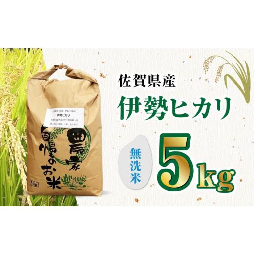 ふるさと納税 佐賀県 武雄市 令和5年産 新米 佐賀県産 伊勢ヒカリ（イセヒカリ） 精米（無洗米） 5kg ／鶴ノ原北川農園 [UDL004]