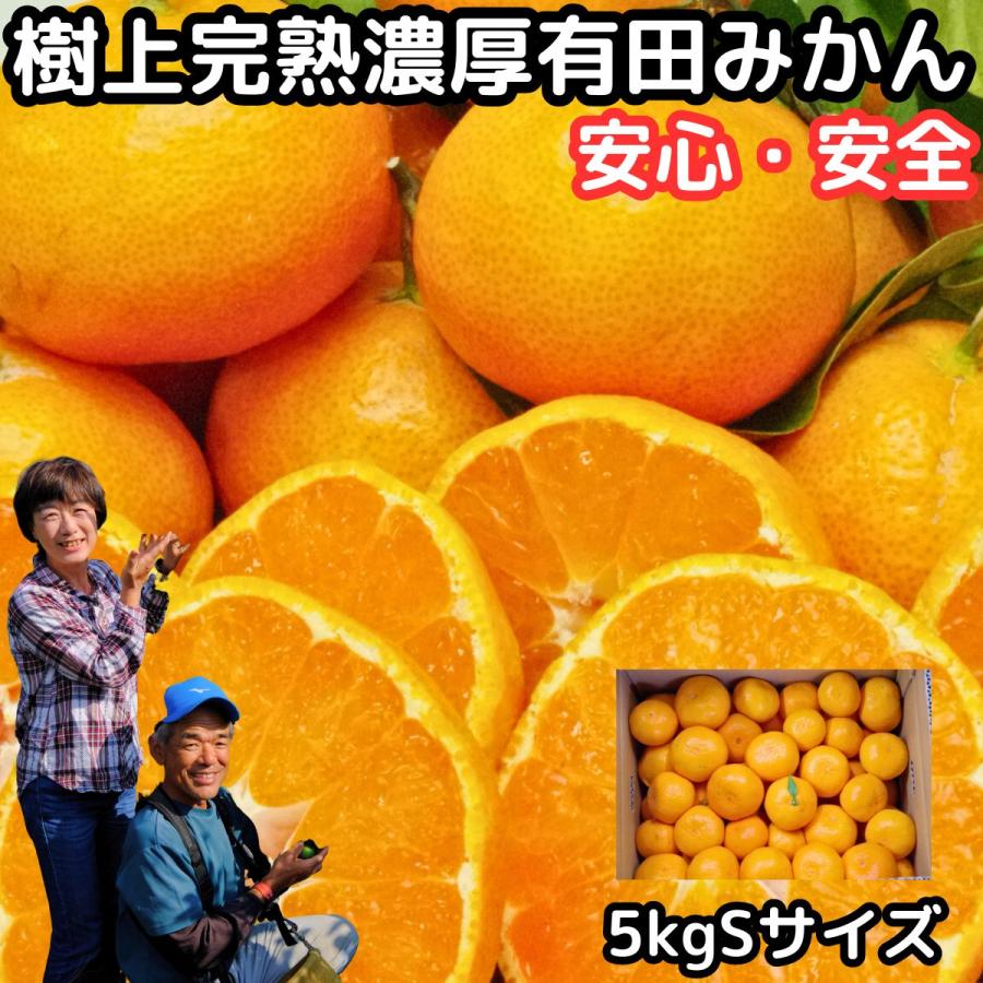 みかん 有田 小玉 甘い 糖度 送料無料 和歌山 有田さんさん 樹上完熟 早生 有田みかん 5kg sサイズ お歳暮 贈答用 贈答品 ギフト 箱 買い ありた 有田ミカン