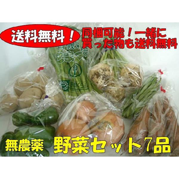 おまかせ野菜詰合わせセット　7品（農薬不使用）