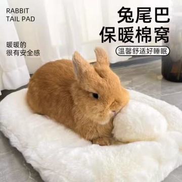 兔尾巴保暖棉窩 墊子 兔子棉墊窩龍貓荷蘭豬趴趴墊 冬天御寒窩