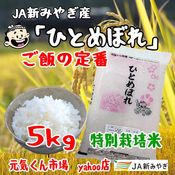 令和5年産　通販　ひとめぼれ　宮城県産　５Kg　特別栽培米（減農薬・減化学肥料）精米　　送料無料（一部地域を除く）