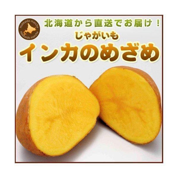 じゃがいも ジャガイモ インカのめざめ 10kg 正品・S M LM L 2L混 （新じゃがいも） 野菜 北海道産 お礼 産直 内祝