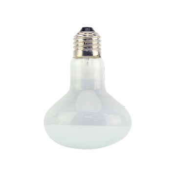 ISTA 伊士達 爬蟲聚熱燈泡  白色  1個