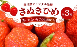 東かがわ市真っ赤な「いちご」の定期便（A）