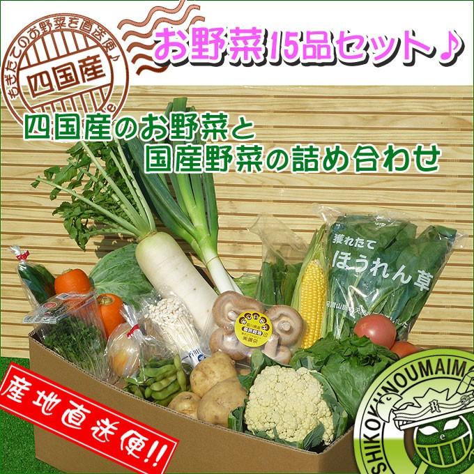 産直あきんど厳選野菜の詰め合わせ15品セット たまご10個セット