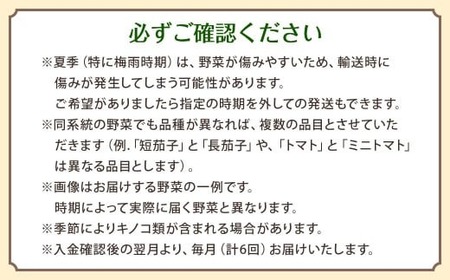 野菜のプロ40年が届けるこだわり野菜セット！ 7～8品目 詰め合わせ